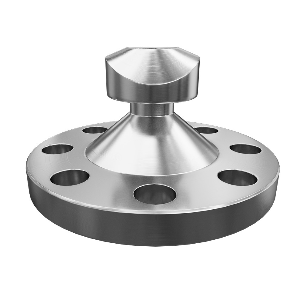 Flange branch pipe